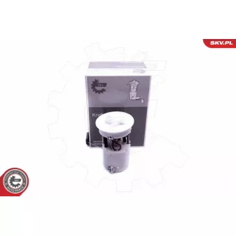 Unité d'injection de carburant ESEN SKV 02SKV819 pour FORD FIESTA 1.25 - 82cv