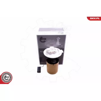 Unité d'injection de carburant ESEN SKV 02SKV821 pour FORD TRANSIT 2.2 TDCi - 125cv