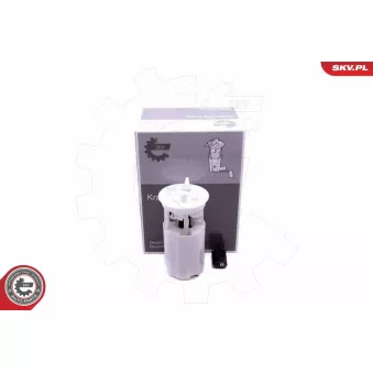 Unité d'injection de carburant ESEN SKV OEM 3111025000