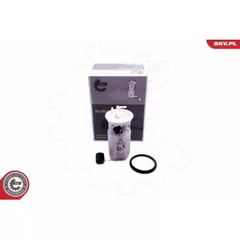 Unité d'injection de carburant ESEN SKV OEM 3111025000