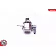 ESEN SKV 02SKV952 - Pompe à haute pression