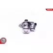 ESEN SKV 02SKV956 - Pompe à haute pression