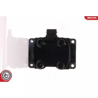 Bobine d'allumage ESEN SKV OEM 2508793