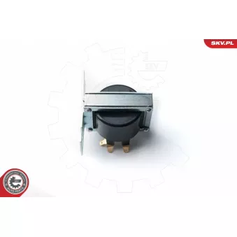 Bobine d'allumage ESEN SKV 03SKV212