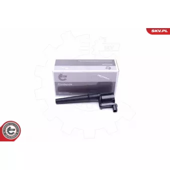 Bobine d'allumage ESEN SKV OEM 2C6Z12029AA