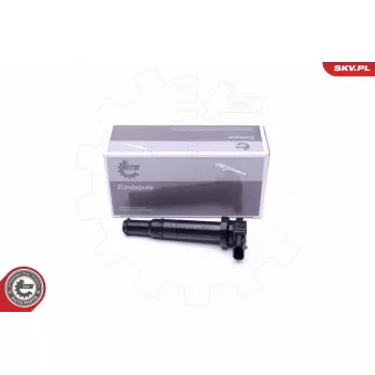 Bobine d'allumage ESEN SKV OEM 273013E100