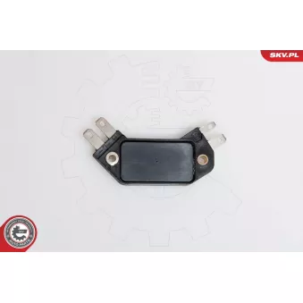 Appareil de commande, système d'allumage ESEN SKV OEM 4419628