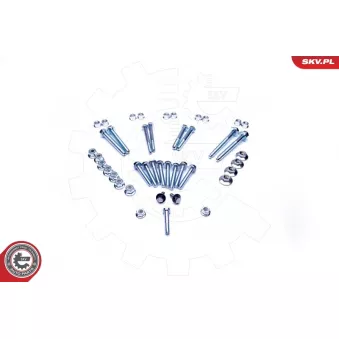 Boulon de fixation, bras transversal ESEN SKV 04SKV111 pour VOLKSWAGEN PASSAT 2.8 V6 - 193cv