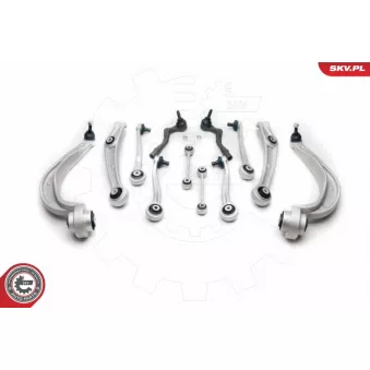 Kit de réparation, bras triangulaire ESEN SKV OEM 8K0407505A