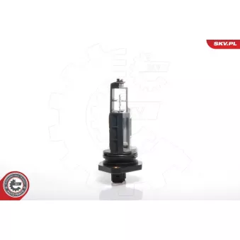 Débitmètre de masse d'air ESEN SKV 07SKV002