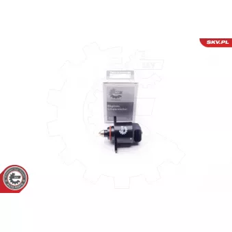 Controle de ralenti, alimentation en air ESEN SKV 08SKV002 pour DAEWOO NUBIRA 1.8 - 122cv