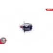 ESEN SKV 08SKV002 - Controle de ralenti, alimentation en air