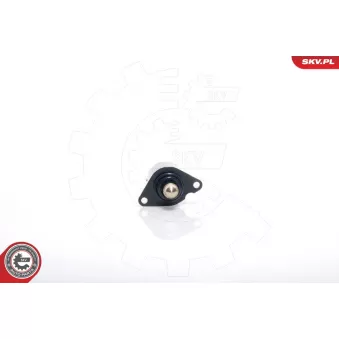 Controle de ralenti, alimentation en air ESEN SKV OEM 000019209L