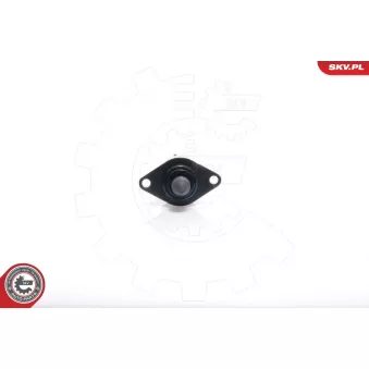 Controle de ralenti, alimentation en air ESEN SKV 08SKV033