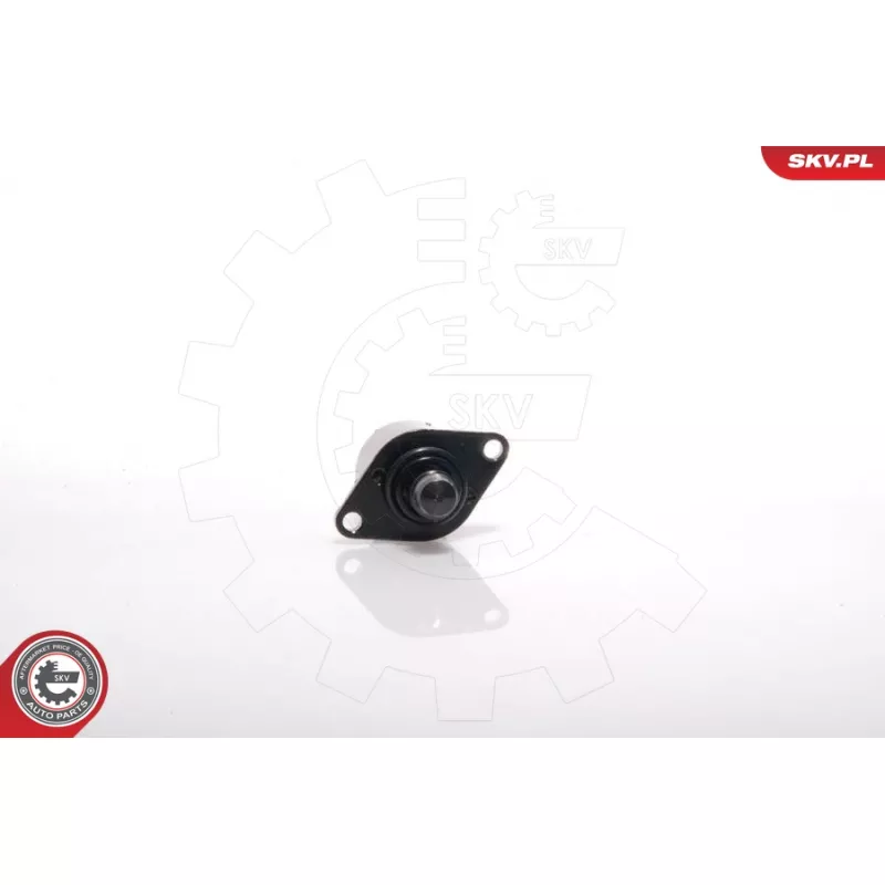 Controle de ralenti, alimentation en air ESEN SKV 08SKV036 - Visuel 1