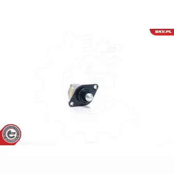 Controle de ralenti, alimentation en air ESEN SKV 08SKV038 pour RENAULT KANGOO 1.4 - 75cv