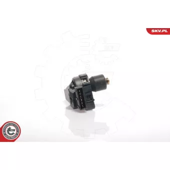 Controle de ralenti, alimentation en air ESEN SKV OEM 048133031
