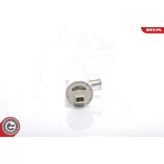 Controle de ralenti, alimentation en air ESEN SKV 08SKV209