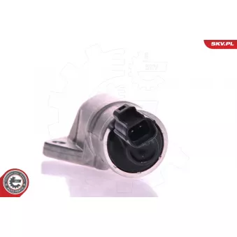 Controle de ralenti, alimentation en air ESEN SKV 08SKV216 pour FORD FOCUS 1.6 Flexifuel - 120cv