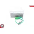 ESEN SKV 09SKV671 - Sonde lambda