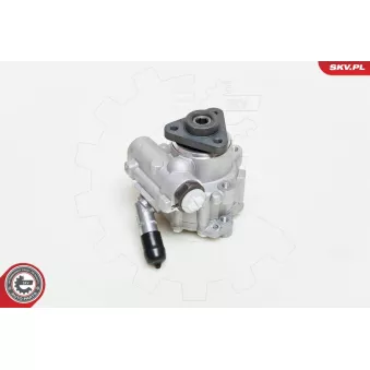 Pompe hydraulique, direction ESEN SKV OEM 8R0145155G