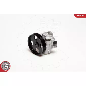 Pompe hydraulique, direction ESEN SKV 10SKV098 pour PEUGEOT 605 2.0 16V - 132cv