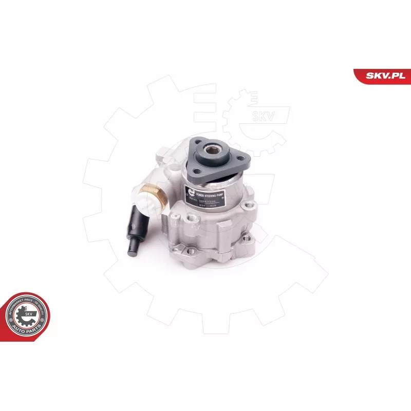 Pompe hydraulique, direction ESEN SKV 10SKV239 - Visuel 1