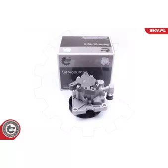 Pompe hydraulique, direction ESEN SKV 10SKV273 pour MERCEDES-BENZ CLASSE E E 350 - 272cv