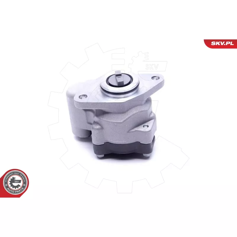 Pompe hydraulique, direction ESEN SKV 10SKV299 - Visuel 1