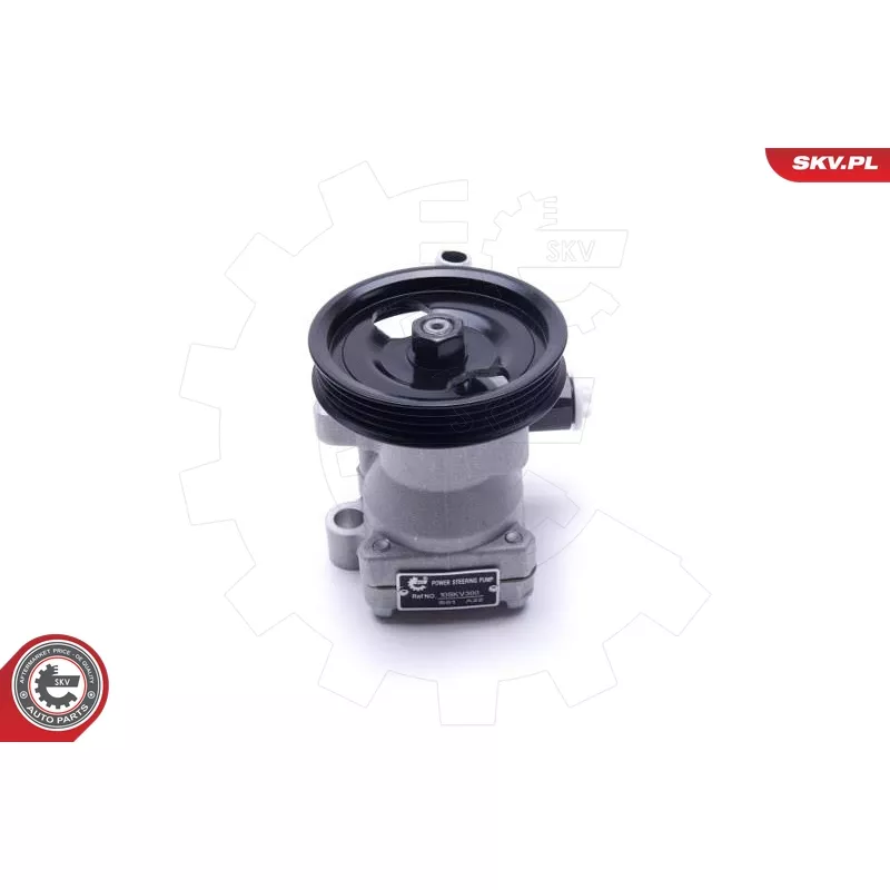 Pompe hydraulique, direction ESEN SKV 10SKV300 - Visuel 1