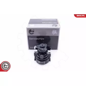 Pompe hydraulique, direction ESEN SKV 10SKV302