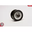 ESEN SKV 11SKV060 - Poulie roue libre, alternateur