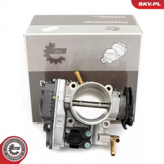 Corps papillon ESEN SKV 12SKV017