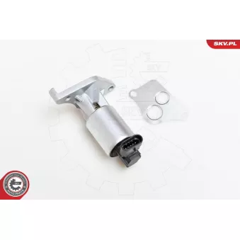 Vanne EGR ESEN SKV 14SKV013