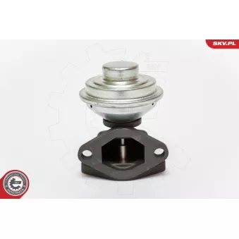 Vanne EGR ESEN SKV OEM 851038