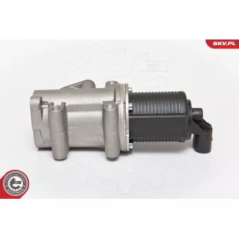 Vanne EGR ESEN SKV OEM 555030