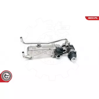 ESEN SKV 14SKV096 - Vanne EGR