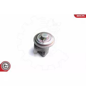 Vanne EGR ESEN SKV OEM 1S7Q9D475AE