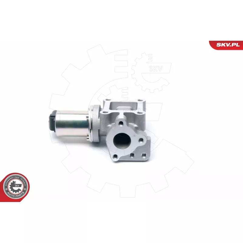 Vanne EGR ESEN SKV 14SKV099 - Visuel 1
