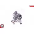 ESEN SKV 14SKV135 - Module-EGR