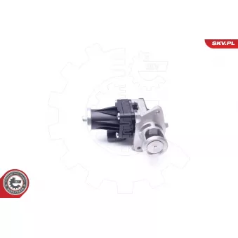 Vanne EGR ESEN SKV 14SKV159