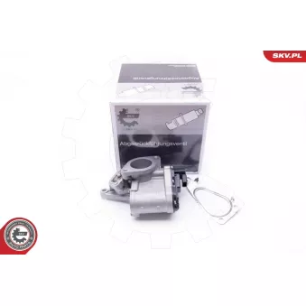 Vanne EGR ESEN SKV OEM H8200194323