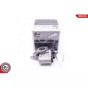 Vanne EGR ESEN SKV OEM 8200796571