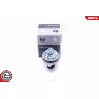 Vanne EGR ESEN SKV OEM A6391400560