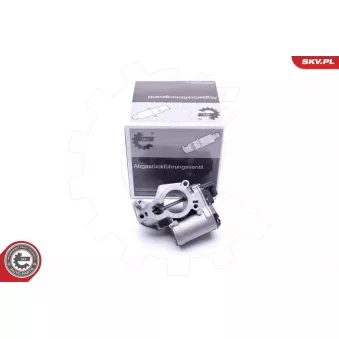 Vanne EGR ESEN SKV OEM 147100385R