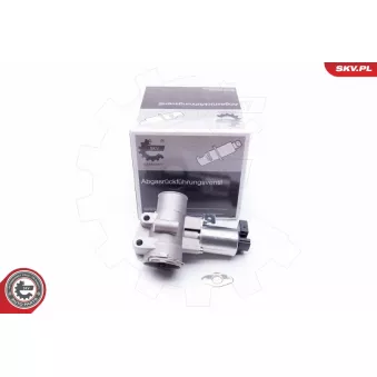 Vanne EGR ESEN SKV OEM A6600900154