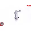 ESEN SKV 14SKV197 - Radiateur, réaspiration des gaz d'échappement