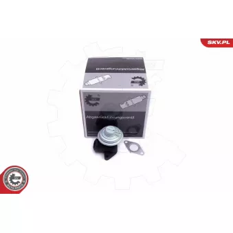 Vanne EGR ESEN SKV 14SKV205 pour ALFA ROMEO SPIDER 2.0 HDI 16V - 109cv