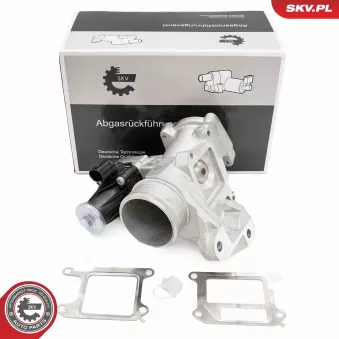 Vanne EGR ESEN SKV OEM 36000998