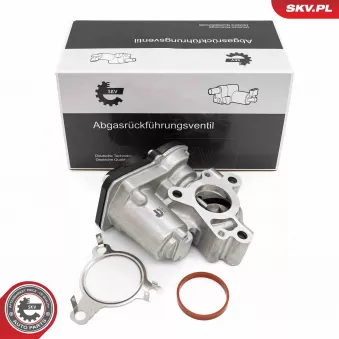 Vanne EGR ESEN SKV 14SKV276 pour RENAULT TALISMAN 2.0 Blue dCi 160 - 160cv
